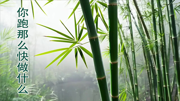 铁凝：你跑那么快做什么